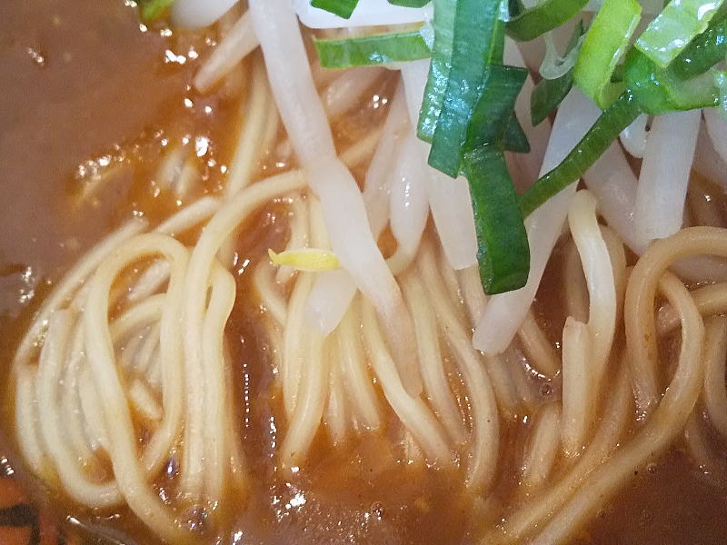 麺 / 京都グルメガイド