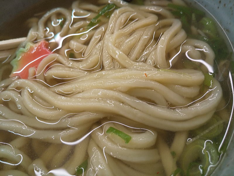 鴨川製麺所 生ゆばうどん / 京都グルメガイド