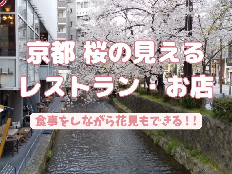 京都 桜の見えるレストラン・お店 / 京都グルメ食べ歩きガイド